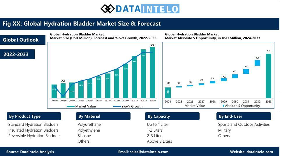 Global Hydration Bladder Industry Outlook